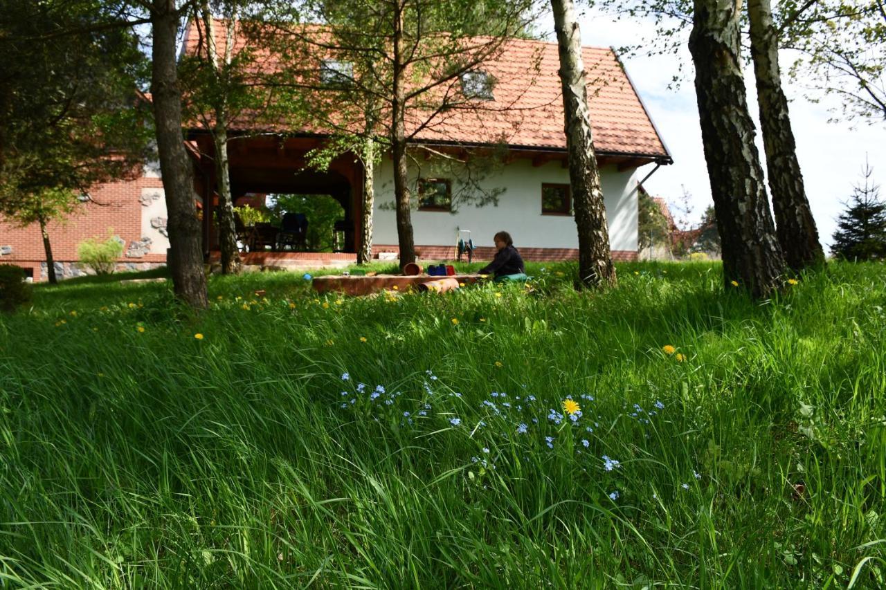 Charzykowska Chatka Charzykowy Exterior photo